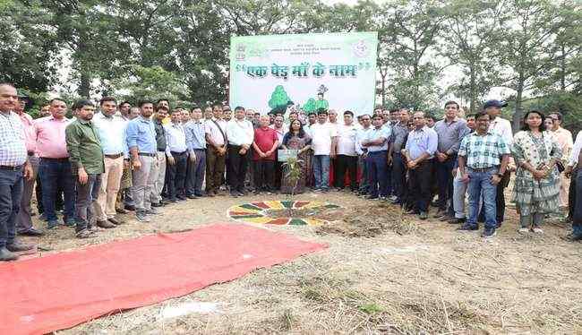 ‘एक पेड़ माँ के नाम’, बॉयोटेक्नोलॉजी विभाग ने चलाया स्वच्छता अभियान